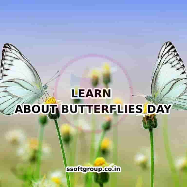 Learn About Butterflies Day 14 March