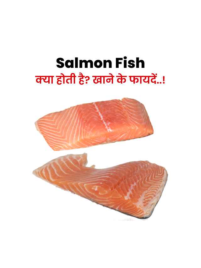 salmon fish in hindi