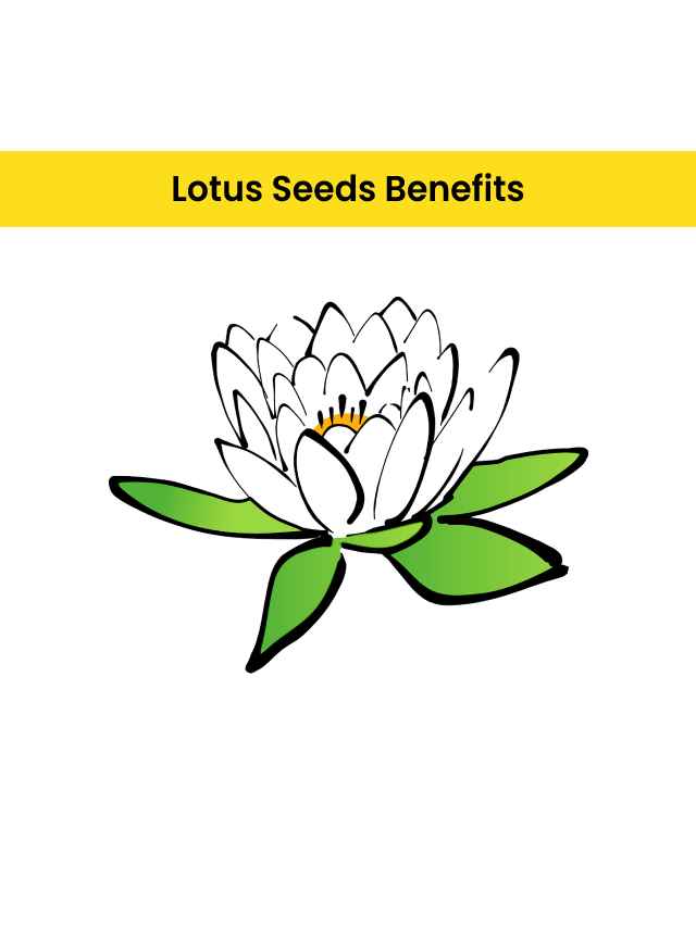 Do you know Lotus Seeds Benefits?